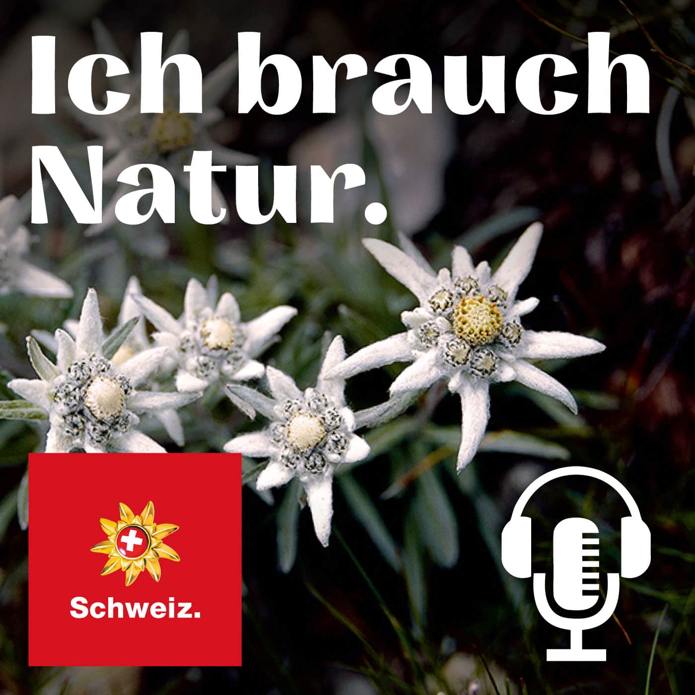 natur schweiz podcast tourismus